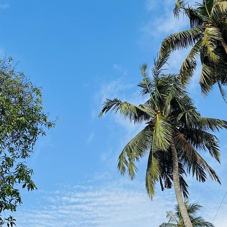 Jilan Homestay 本托塔 外观 照片