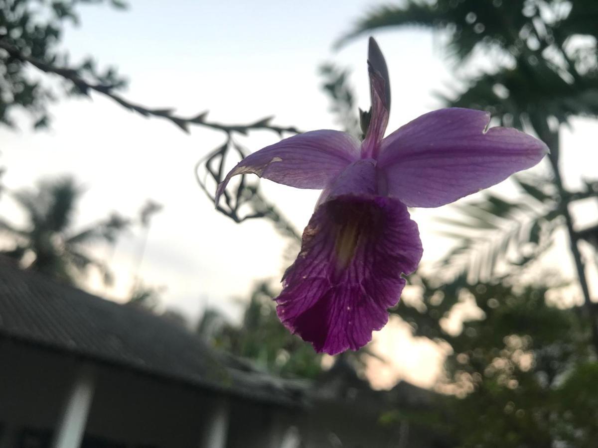 Jilan Homestay 本托塔 外观 照片