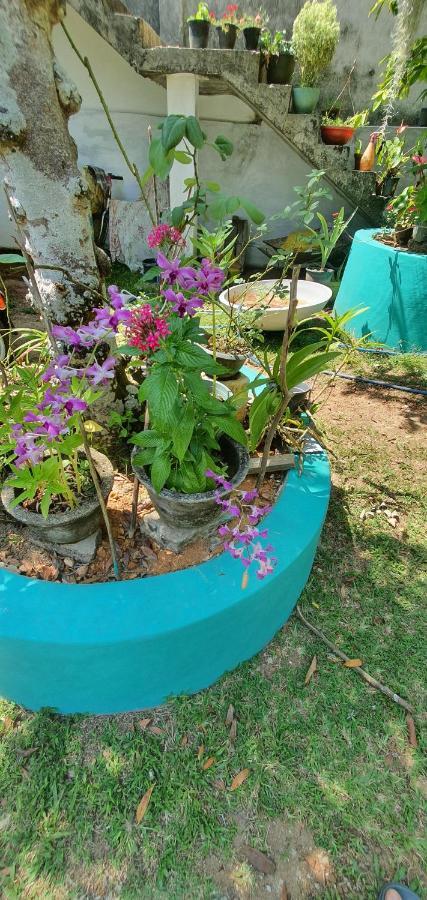 Jilan Homestay 本托塔 外观 照片